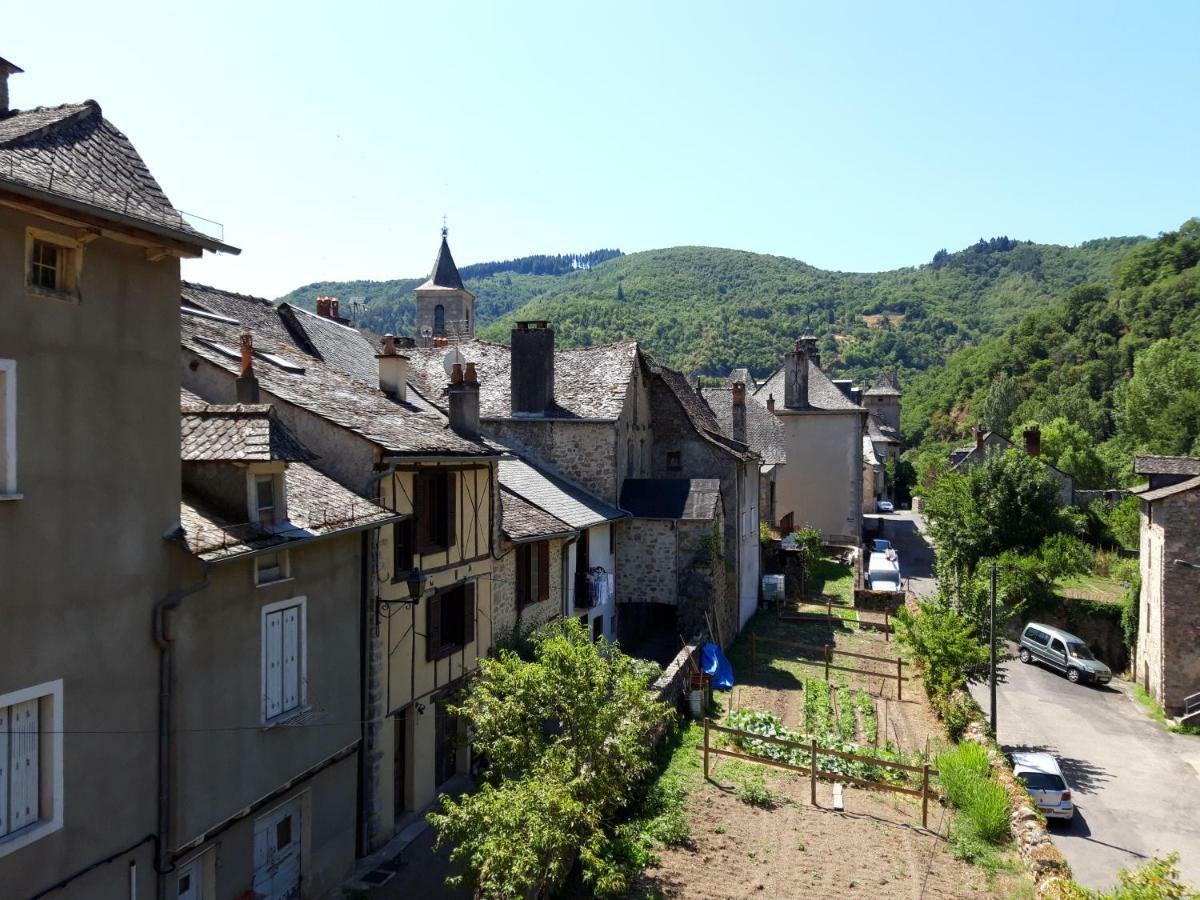 Gite De Truyere Villa Entraygues-sur-Truyère Exterior photo